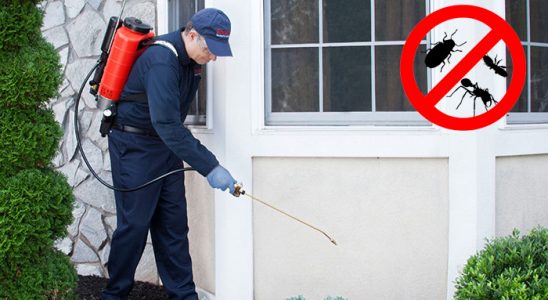 Afyonkarahisar Hamam Böceği İlaçlama böcek ilaçlama ve haşere kontrolü — ilaclama-tr.com